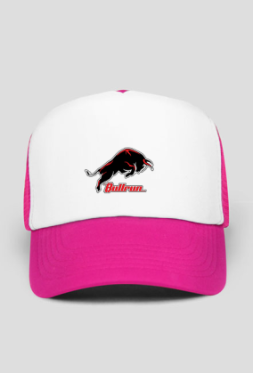 bullrun_C