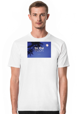To the moon