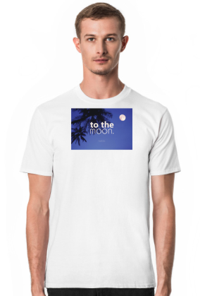 To the moon