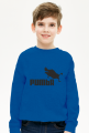 Pum[B]a