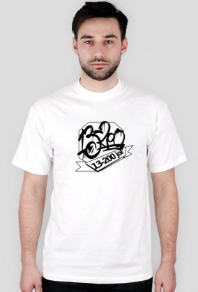 t-shirt KLASYK męski różne kolory