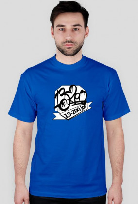 t-shirt KLASYK męski różne kolory