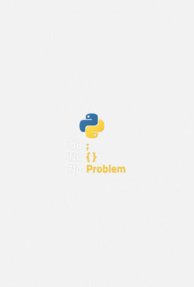 Programista. Prezent dla Programisty. Java. Kotlin. Spring. Flutter. Python