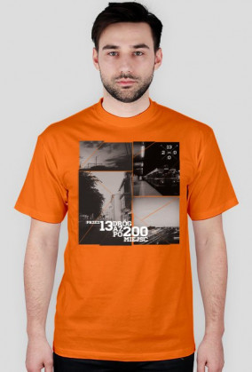 t-shirt "13 dróg" męski różne kolory