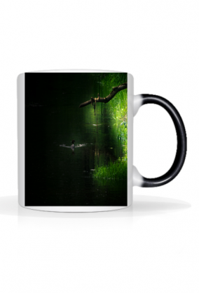 Półmrok nad rzeką