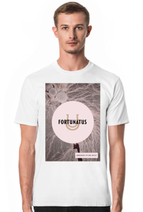 Fortunatus (IV)