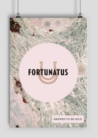 Fortunatus (III) plakat