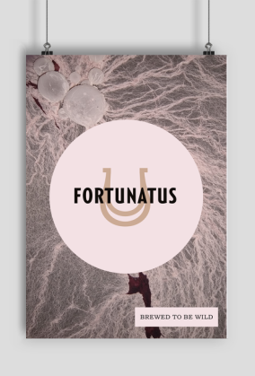 Fortunatus (IV) plakat