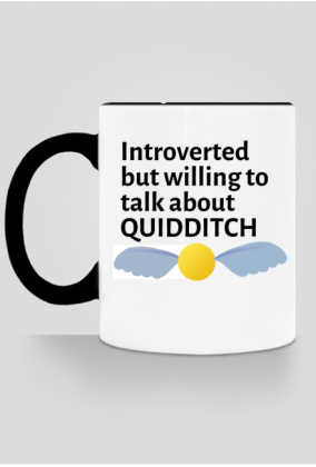 Intoverted but willing to talk about Quidditch- kubek