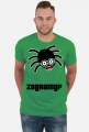Arachno Gracz