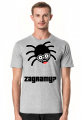 Arachno Gracz