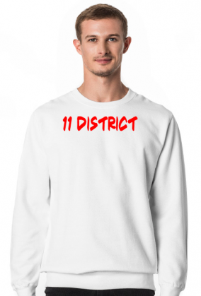 11 District Official