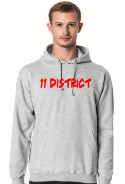 11 District Official