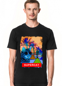 SuperCAT II