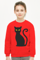 Bluza z Kotełkiem