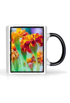 Kubek "Marigold"