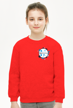 Bluza dla dziewczynki