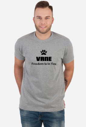 Vane 1I