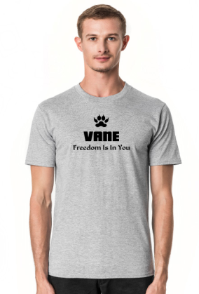 Vane 1I