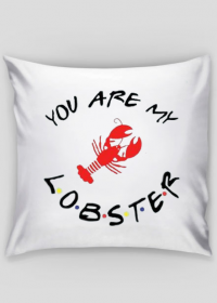 Poszewka - You are my lobster
