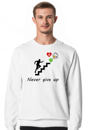 Never give up 2