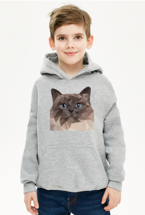 bluza dla chłopca kot
