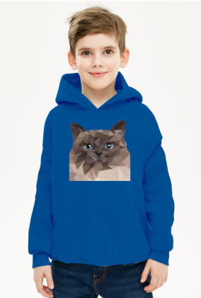 bluza dla chłopca kot