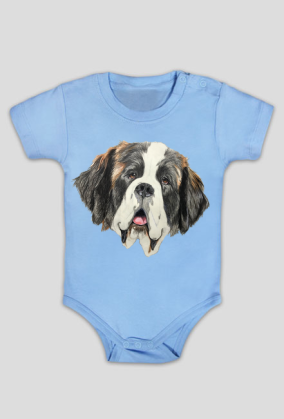 Bernardyn