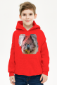 bluza dla chłopca koala czerwona