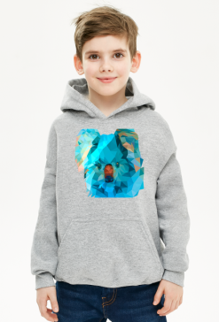 bluza dla chłopca koala niebieska