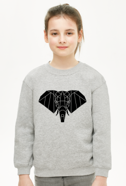 Geometryczny Słoń  - Geometric Elephant