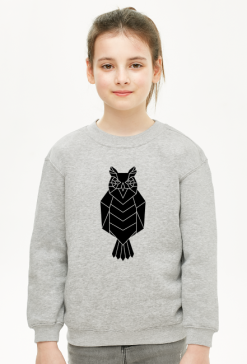 Geometryczna Sowa - Geometric Owl