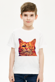 Śmieszny Kot - Funny cat