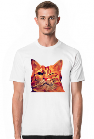 Śmieszny Kot - Funny cat