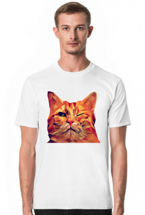 Śmieszny Kot - Funny cat