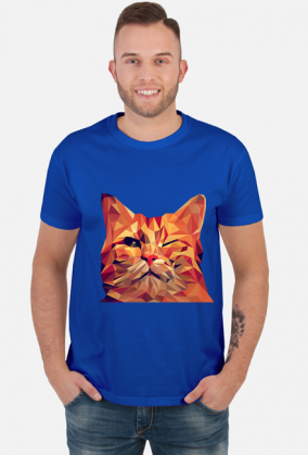 Śmieszny Kot - Funny cat