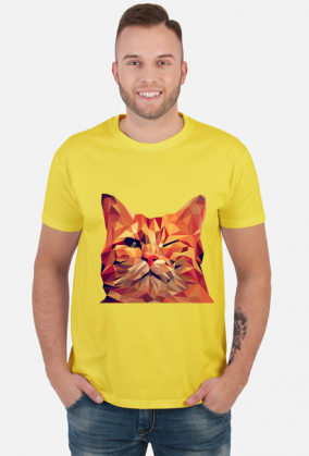 Śmieszny Kot - Funny cat