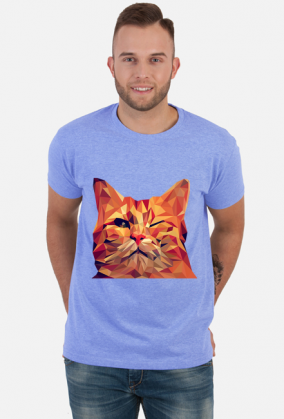 Śmieszny Kot - Funny cat