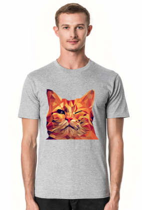 Śmieszny Kot - Funny cat