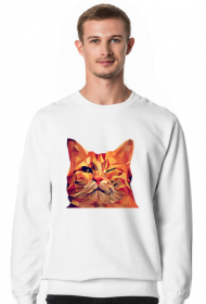 Śmieszny Kot - Funny cat