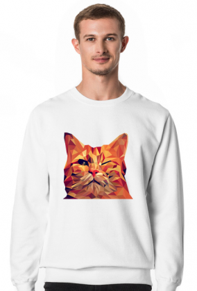 Śmieszny Kot - Funny cat