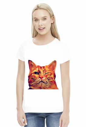 Śmieszny Kot - Funny cat