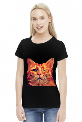 Śmieszny Kot - Funny cat