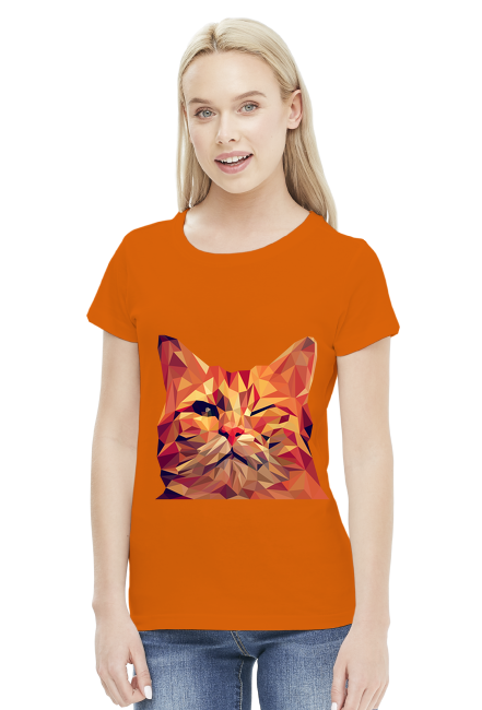 Śmieszny Kot - Funny cat