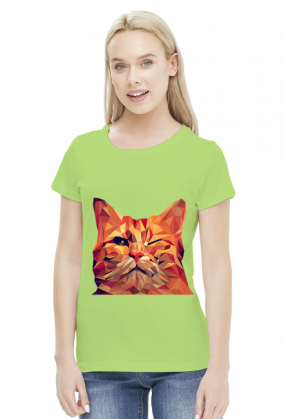 Śmieszny Kot - Funny cat