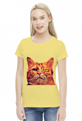 Śmieszny Kot - Funny cat