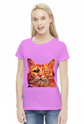 Śmieszny Kot - Funny cat