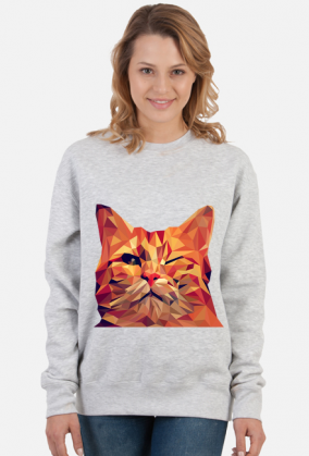 Śmieszny Kot - Funny cat