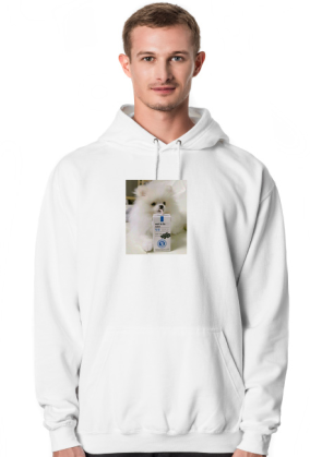 Want to die Hoodie