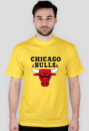 chicago bulls tshirt m